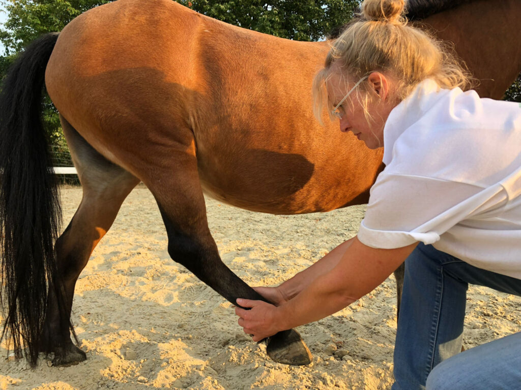 Jeanette bei der Dehnung des Hinterbein