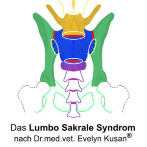 LSS<sup>®</sup> – Mod. 1 Röntgenbildbeurteilung