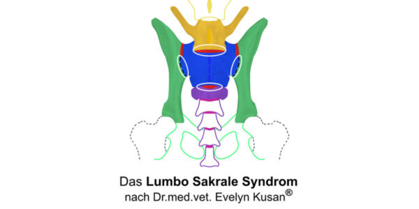 LSS<sup>®</sup> – Mod. 1 Röntgenbildbeurteilung