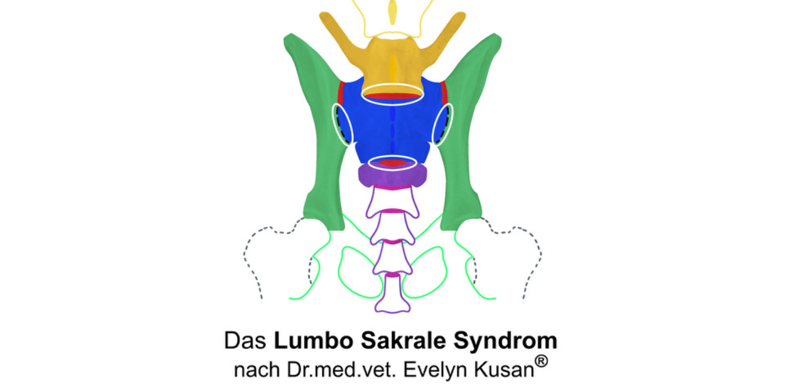 LSS<sup>®</sup> – Mod. 1 Röntgenbildbeurteilung