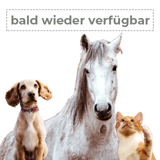Der neurologische Patient - bald wieder verfügbar