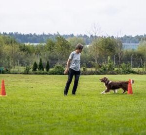 Takt, Kraft und Balance – die Magie der Cavalettiarbeit