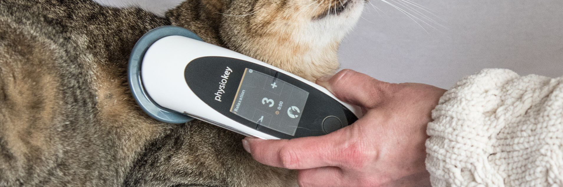 Diagnostizieren und therapieren im Veterinärbereich