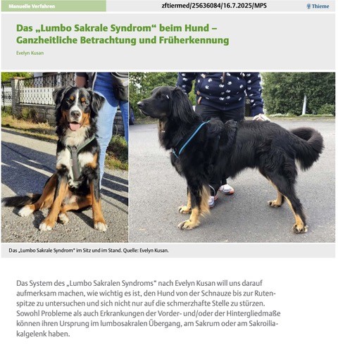 hinweiss fachartikel