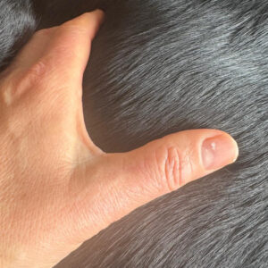 Deine Hände – Dein Fühlen