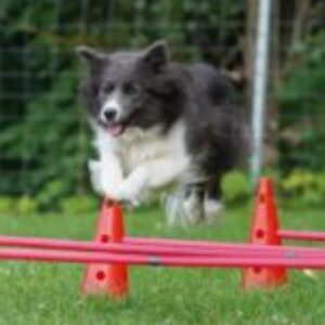 Profilbild von Sonja Jüttner