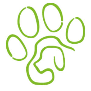 Profilbild von Jana Buchholz