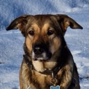 Profilbild von Aline Vollmuth