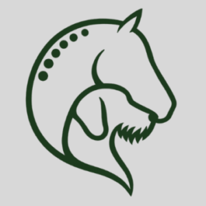 Profilbild von Stefanie Jost